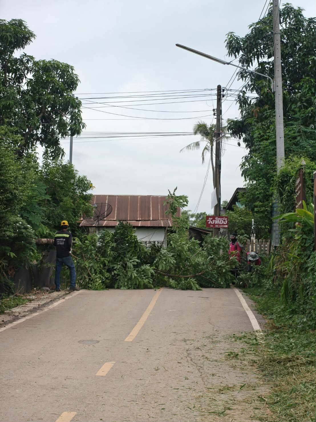 ประชาสัมพันธ์เเทศบาลตำบลธาจตุพนมใต้ พนักงานกองช่างดำเนินการตัดหญ้า​ ปรับภูมิทัศน์​ ริมทางสัญจร ในพื้นที่บ้านดอนกลางทุ่ง​ หมู่ที่ 9 ตำบลธาตุพนม อำเภอธาตุพนม จังหวัดนครพนม​